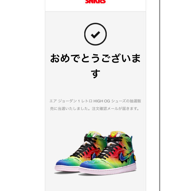 NIKE エアジョーダン　1  26.0