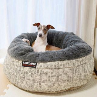 コストコ 犬の通販 0点以上 コストコのその他を買うならラクマ コストコ 犬の通販 0点以上 コストコのその他を買うならラクマ