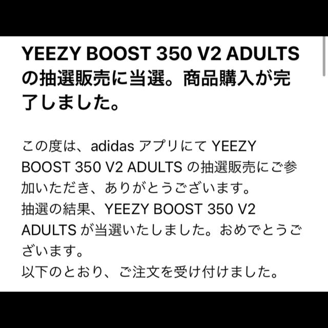 adidas(アディダス)の【adidas】YEEZY BOOST 350 V2  メンズの靴/シューズ(スニーカー)の商品写真