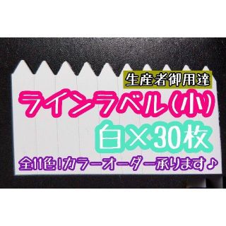 ◎30枚◎白(小)選べるカラー ラインラベル 園芸ラベル カラーラベル(プランター)