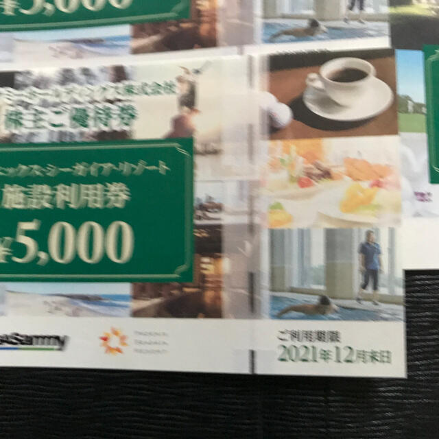 セガサミー 株主優待券 5000円×４枚 ２万円分 入荷中 5168円引き