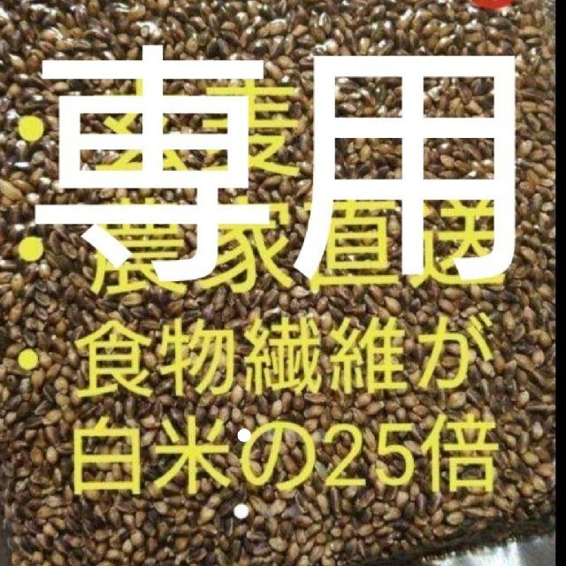 ダイシモチ 玄麦 食品/飲料/酒の食品(米/穀物)の商品写真