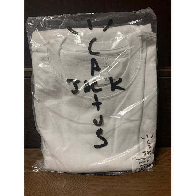 CACTUS(カクタス)のtravis sott tシャツ 1枚 メンズのトップス(Tシャツ/カットソー(半袖/袖なし))の商品写真