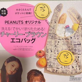 mini 付録　1月号　エコバッグ　PEANUTS チャーリーブラウン　スヌーピ(キャラクターグッズ)