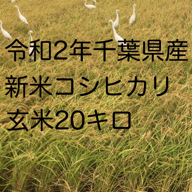 令和2年新米コシヒカリ玄米20kg令和2年