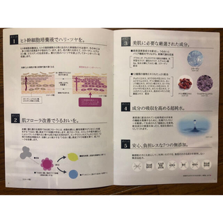 【美容液】REGRE リグレ 保湿美容液 ヒト幹細胞19％配合 日本製