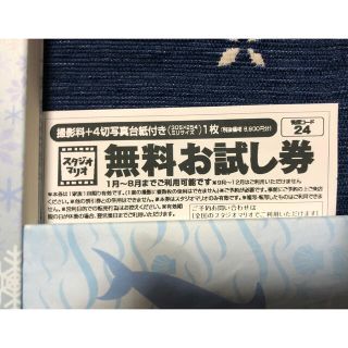 キタムラ(Kitamura)のカメラのキタムラ スタジオマリオ 無料お試し券(その他)