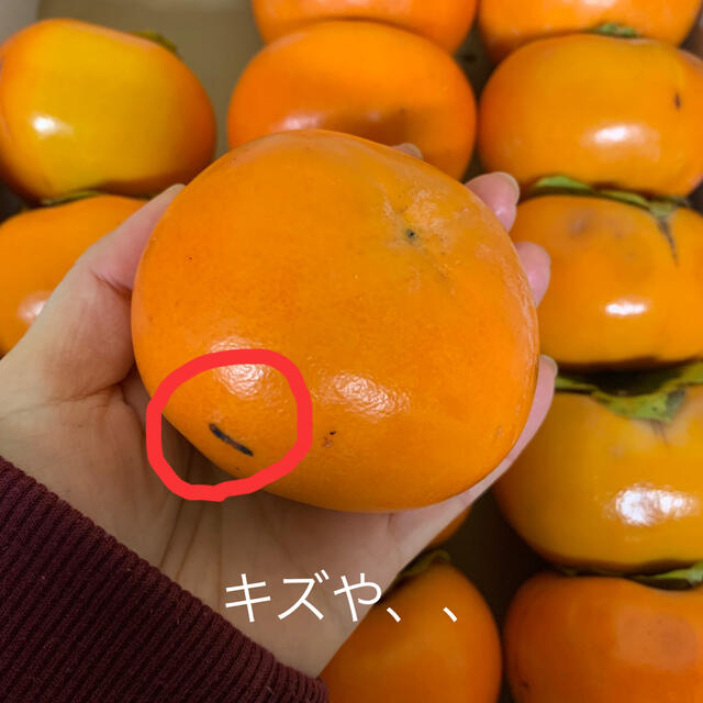 M120 和歌山県産　富有柿　ご家庭用 食品/飲料/酒の食品(フルーツ)の商品写真