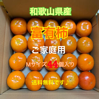 M120 和歌山県産　富有柿　ご家庭用(フルーツ)