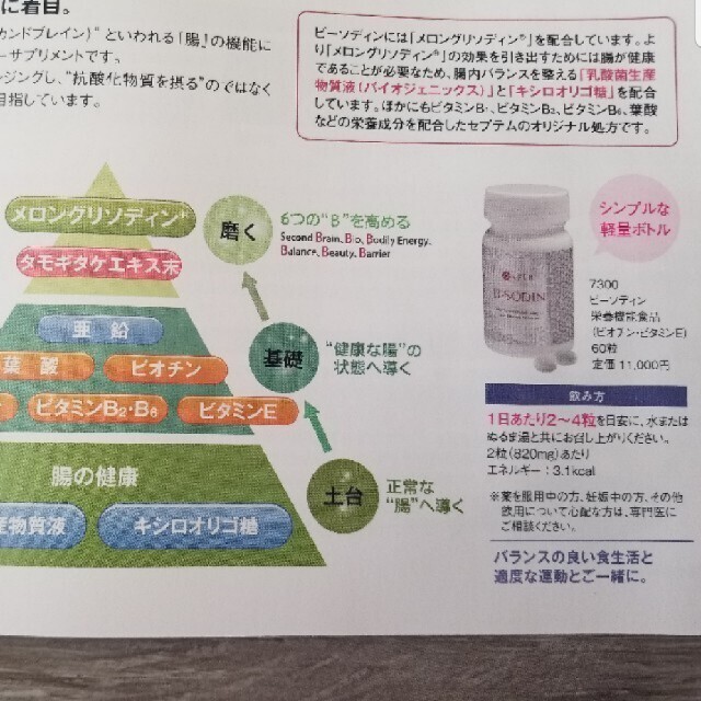 fumi様専用ページ2個セット | www.hospitaldeyumbo.gov.co