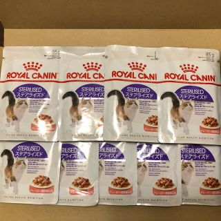 ロイヤルカナン(ROYAL CANIN)のロイヤルカナン　ステアライズド　パウチ　9個(ペットフード)