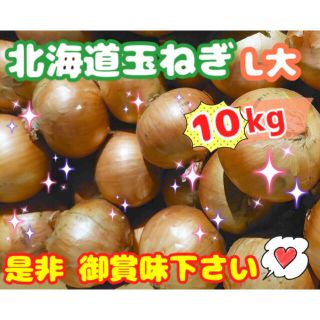 (送料無料)北海道玉ねぎLサイズ20kg☆島 離島への配送はしてません(T-T)(野菜)