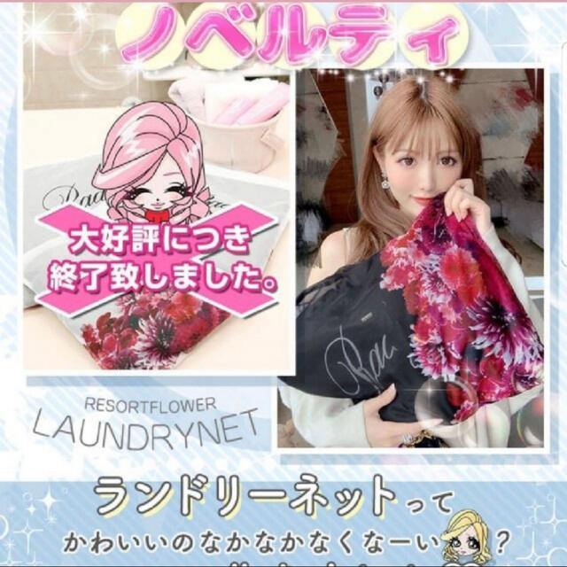 Rady(レディー)のRady ランドリーネット エンタメ/ホビーのコレクション(ノベルティグッズ)の商品写真