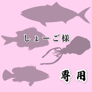 しょーご様専用鯛 ラバTGシンカー 60g80g100g120g150g1個ずつ(ルアー用品)