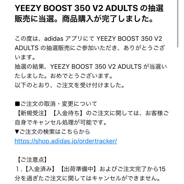 YEEZY BOOST V2 350 ADULTS アディダス イージーブースト