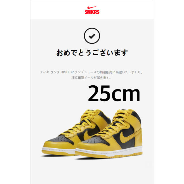 【最安値】NIKE  DUNK HIGH 25cm