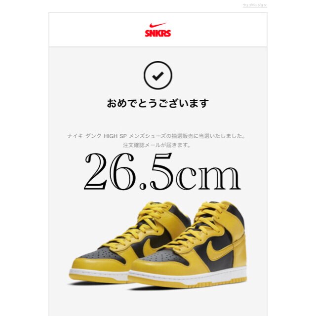 NIKE(ナイキ)のNike Dunk High  メンズの靴/シューズ(スニーカー)の商品写真