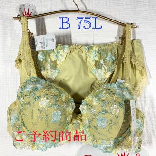 トリンプ(Triumph)のトリンプ　AC003ブラ＆ショーツ2色セット　B 75L(ブラ&ショーツセット)