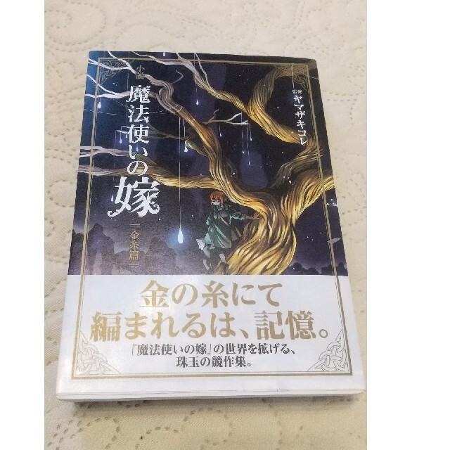 本日のみ！小説魔法使いの嫁　金糸篇、銀糸篇 エンタメ/ホビーの本(文学/小説)の商品写真