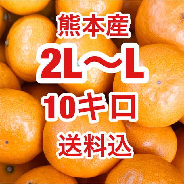 熊本産    早生ミカン　約10キロ　2L～Lサイズ  送料込 食品/飲料/酒の食品(フルーツ)の商品写真