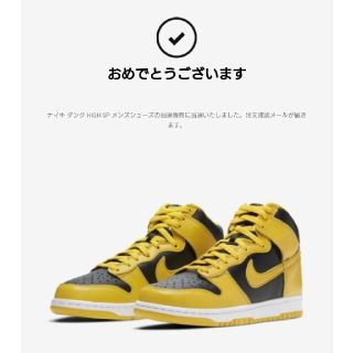 ナイキ(NIKE)のスナフキン様 NIKE ナイキ ダンク HIGH SP メンズシューズ(スニーカー)