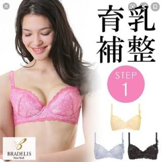 ブラデリスニューヨーク(BRADELIS New York)のブラデリス　ノラ　ピンク　上下セット　f75　新品(ブラ&ショーツセット)