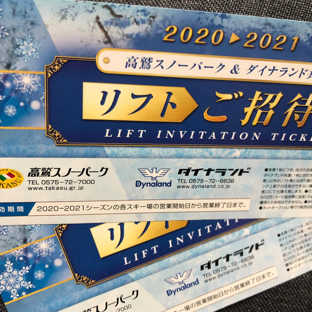 高鷲スノーパーク&ダイナランド 共通リフト1日 2枚