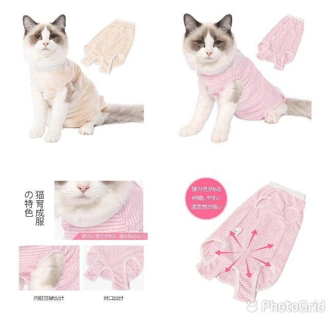 猫術後服  オレンジとピンク その他のペット用品(猫)の商品写真