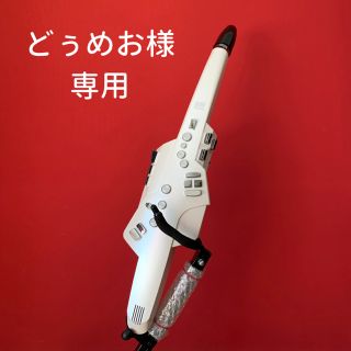 ローランド(Roland)のローランド エアロフォン Roaland Aerophone AE-10(サックス)