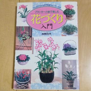 プランターと鉢で楽しむ花づくり入門(住まい/暮らし/子育て)