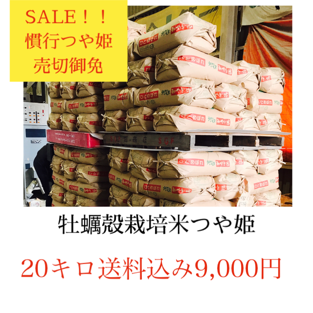 食品年末セール✼光り輝く大粒米✼宮城県産つや姫20キロ