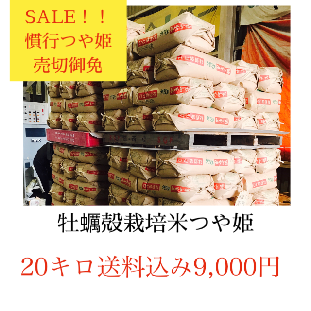 年末セール✼光り輝く大粒米✼宮城県産つや姫20キロ 食品/飲料/酒の食品(米/穀物)の商品写真