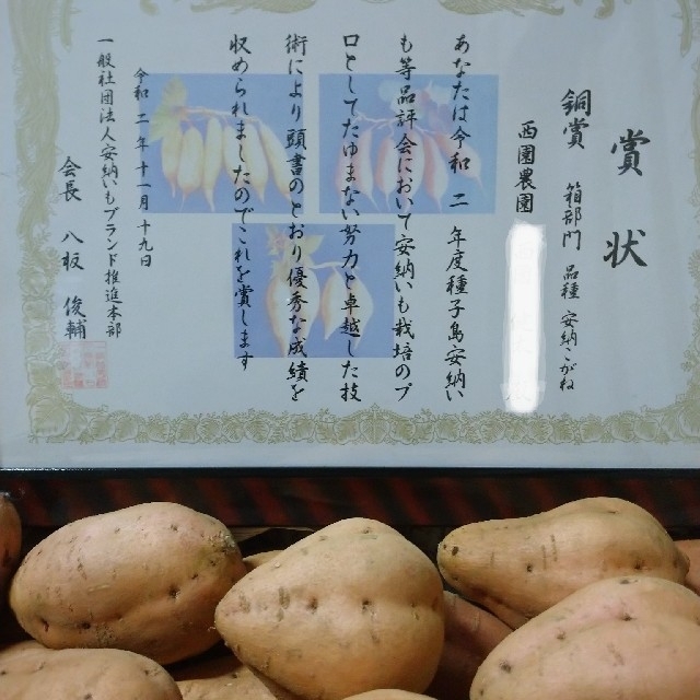 種子島安納芋MIX2Sサイズ2キロ 食品/飲料/酒の食品(野菜)の商品写真