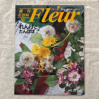 コウダンシャ(講談社)の週間花百科Fleurフルール　 50 れんげとたんぽぽ(趣味/スポーツ)