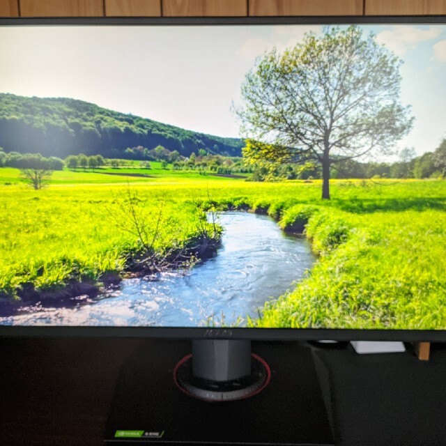 ASUS VG258QR 24.5インチ ゲーミングモニター 165Hz - www