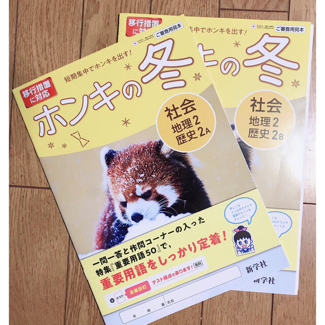 教師用見本】中学2年 ホンキの冬 2点セット 新学社 地理 歴史の 教師用見本】中学2年 ホンキの冬 2点セット 新学社 地理 歴史の