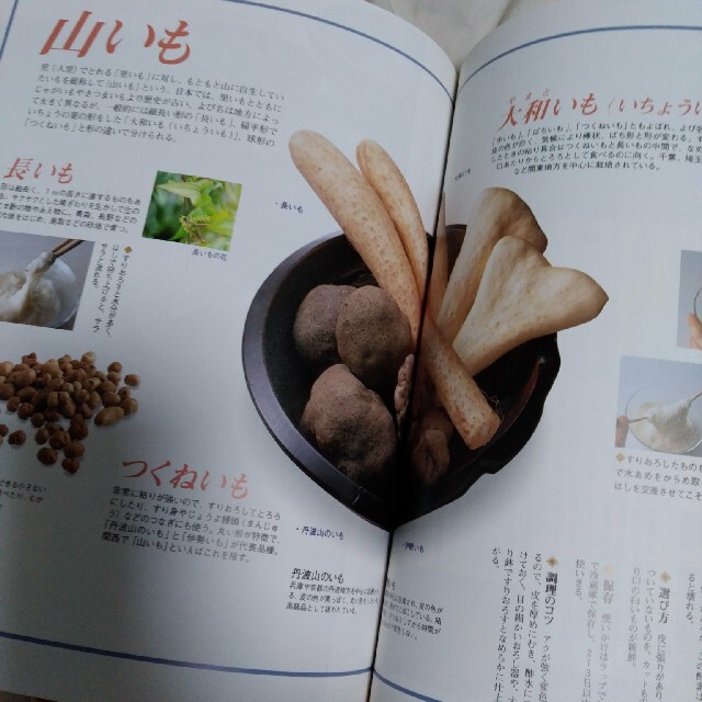 『おいもやきのこ、木の実のおかず』①-10 エンタメ/ホビーの本(料理/グルメ)の商品写真