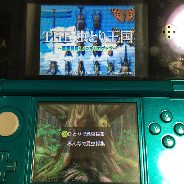 ニンテンドーds 3dsでも遊べます Simple Dsシリーズ Vol 3the 虫とり王国の通販 By 虎太郎と花 S Shop ニンテンドーdsならラクマ