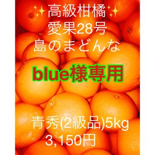 blue様専用　高級蜜柑  愛果28号 島のまどんな青秀(2級品)(フルーツ)