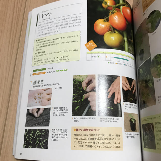 有機・無農薬でできる野菜づくり大事典 エンタメ/ホビーの本(趣味/スポーツ/実用)の商品写真