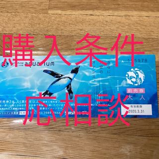 サンシャイン水族館　チケット(水族館)