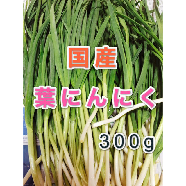 国産　無農薬野菜　葉にんにく　300g 食品/飲料/酒の食品(野菜)の商品写真