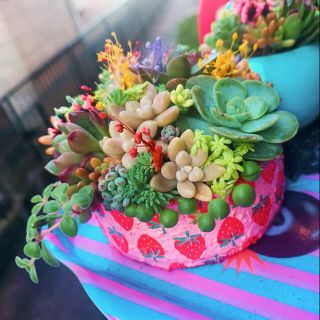 ❤︎多肉植物　イチゴのリメ缶　寄植え❤︎このまま発送(その他)