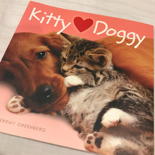 写真集/絵本　Kitty♡Doggy(洋書)