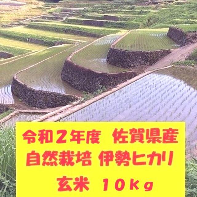 新米】無農薬!自然栽培!佐賀県産!「伊勢ヒカリ」玄米10kg　米/穀物