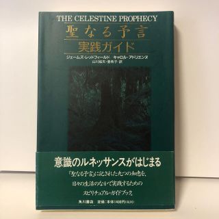 聖なる予言実践ガイド(その他)