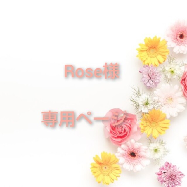 rose様専用ページ✿*:-