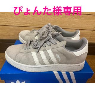 アディダス(adidas)のアディダスadidas キャンパス　24cm グレー(スニーカー)