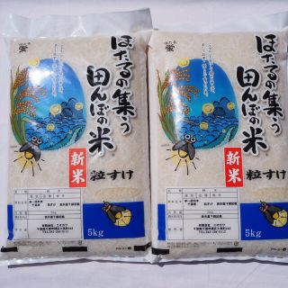 新米　新品種　粒すけ　無洗米　10kg(米/穀物)