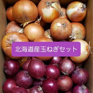 北海道産　赤玉ねぎ【アーリーレッド】＋玉ねぎ　各５キロ約１０キロ(野菜)
